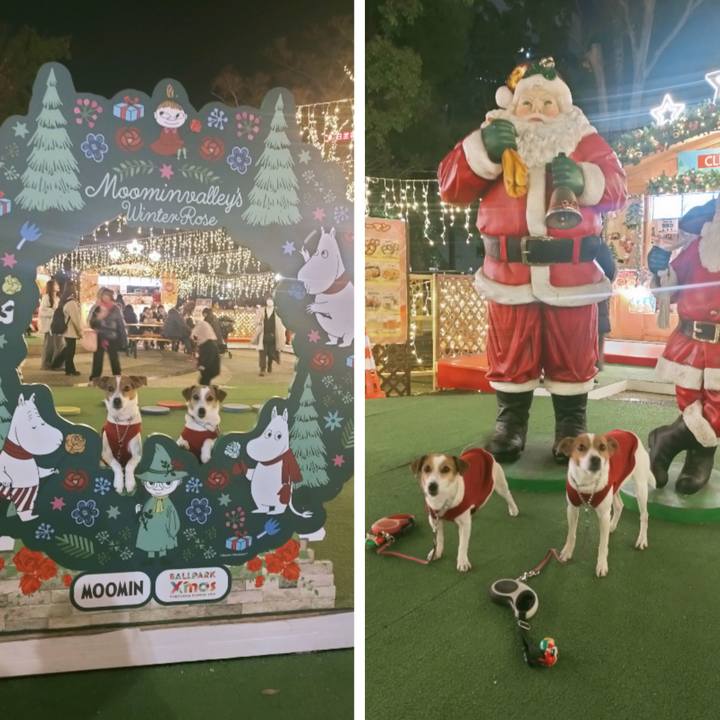 6b2a2c0b b6c3 4707 a945 0e90f8d3f376 1766042238858