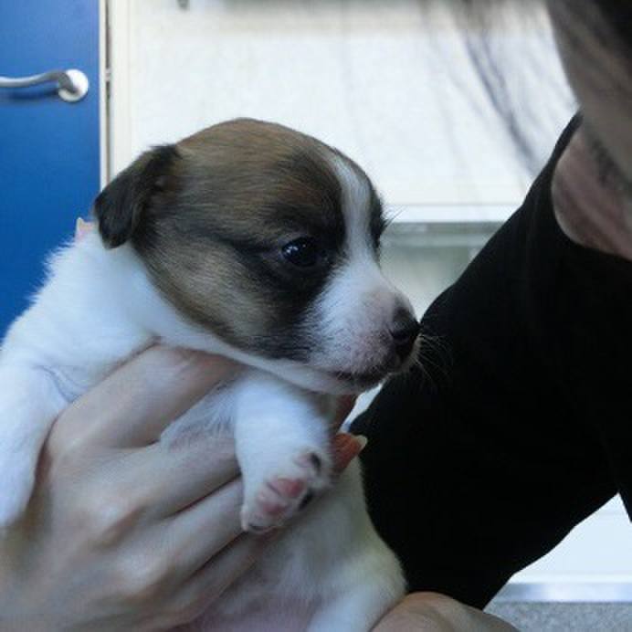 6b2a3799 5842 4312 a4b0 8f1987c3c06c 1528035519033