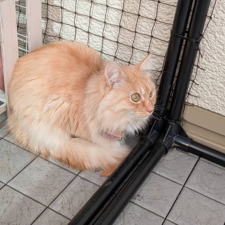 6b2a6012 a0dc 495f 9109 797e1d289f6d 1739245069326