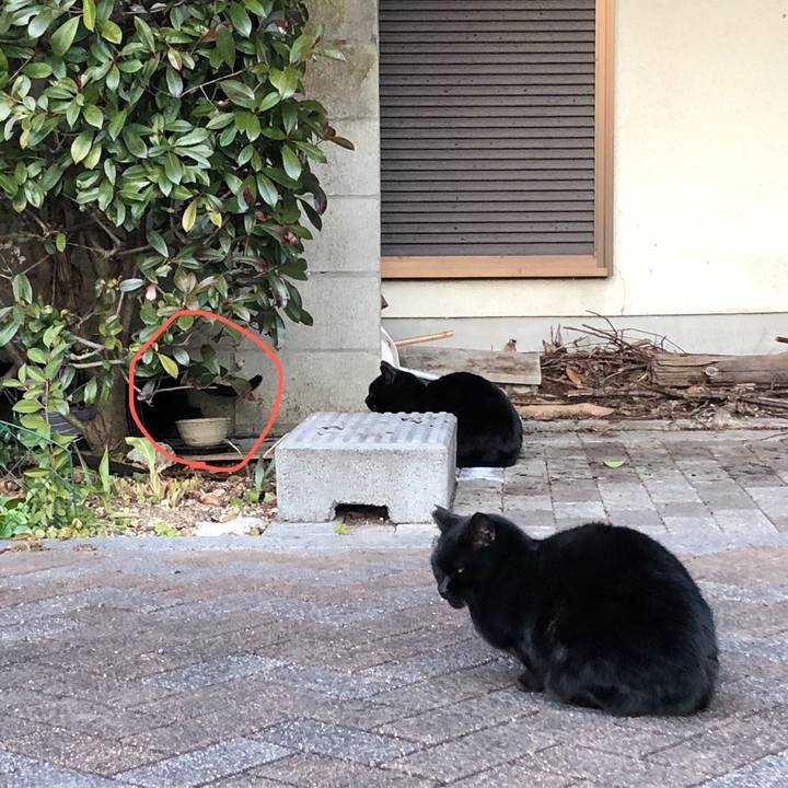 6b2a6f0e 6f3b 46f0 8654 f2d609fd90e3 1644045830955