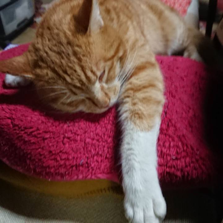 6b2aae72 54eb 4900 b4d0 c2ecb41f16a7 1550825984330