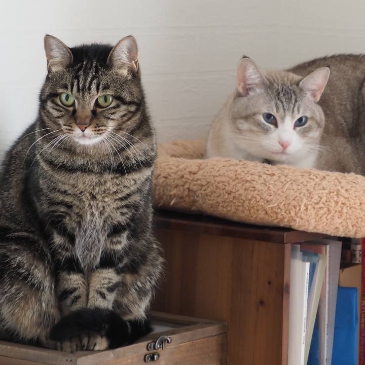 6b2abb63 3737 4222 8a63 a70687a494b0 1670333311474