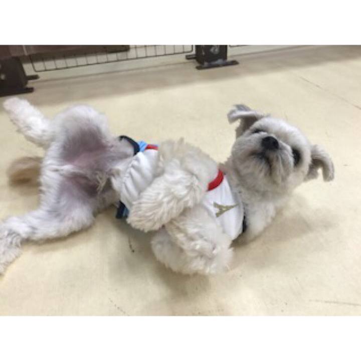 6b2ad57c 8f57 431d ad24 8735b2209843 1536662399360