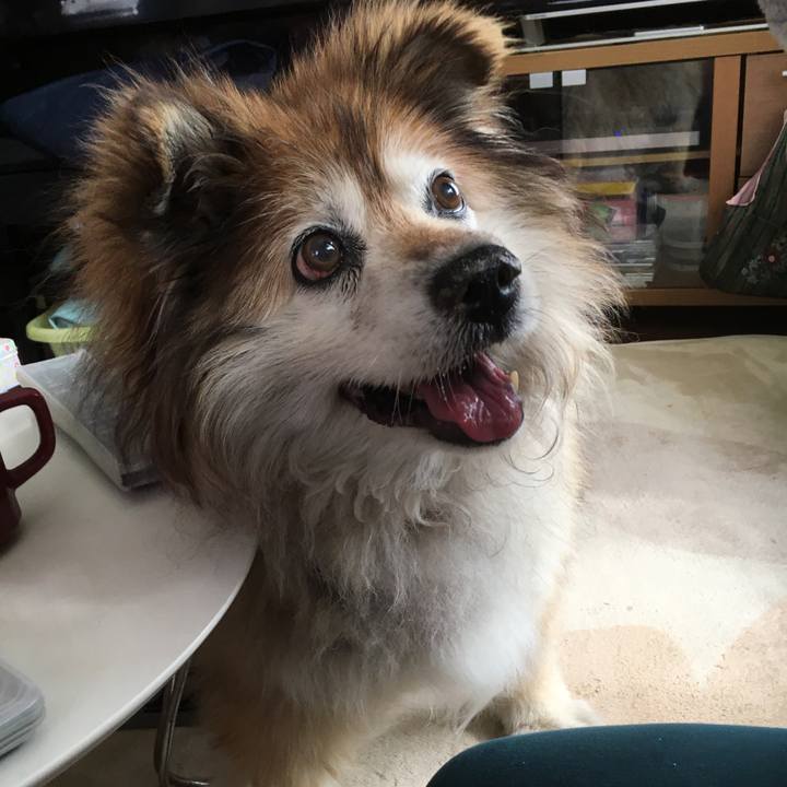 6b2adeb8 97c7 4de4 a50c a6c9686b8641 1552373581563