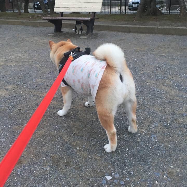 6b2aec36 b24e 4384 84eb 1094296bd8c3 1613356410262