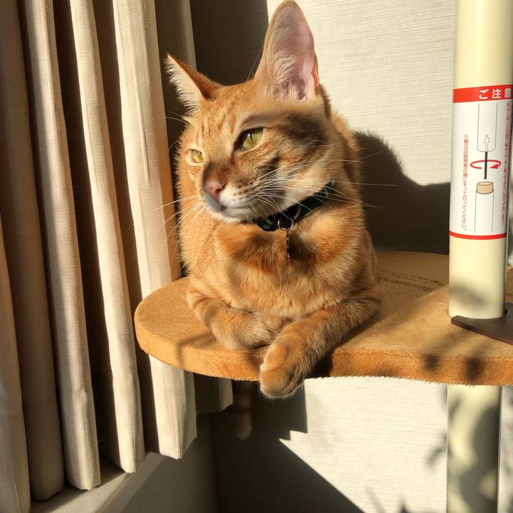 6b2af203 7e24 46e0 82ee 2c409a46164f 1633230794899