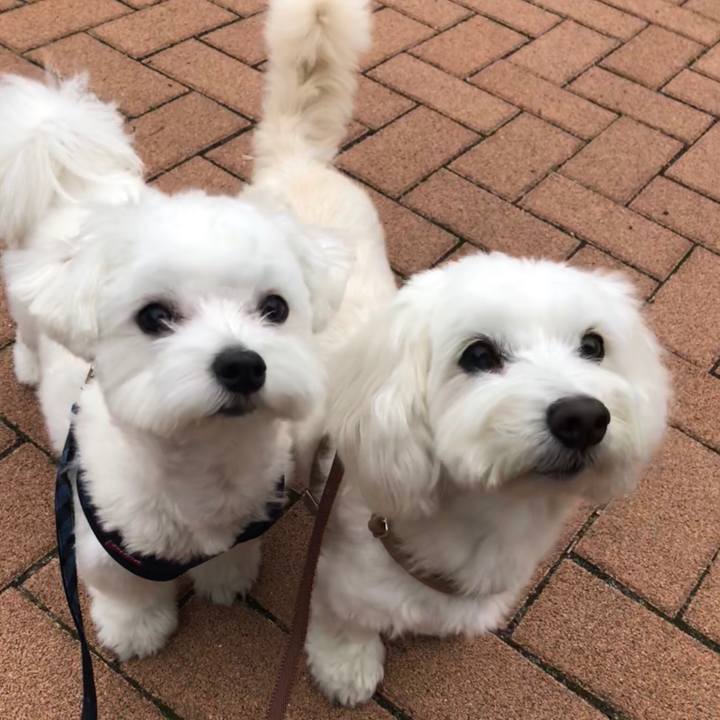 6b2af42d b37b 48b6 ba4e dc50c0fefe99 1529025360025