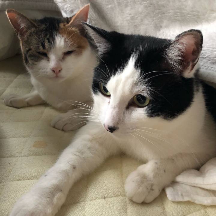 6b2b00a6 2229 4b34 b07c 1ba5d59b96eb 1581905108122