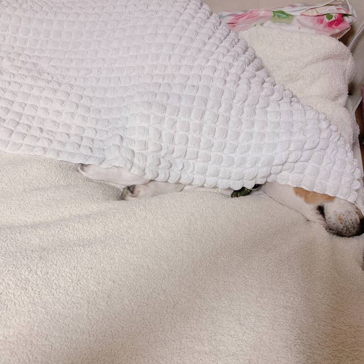 6b2b0560 61fc 4a96 a1c2 e3ca8603dafb 1668736000618