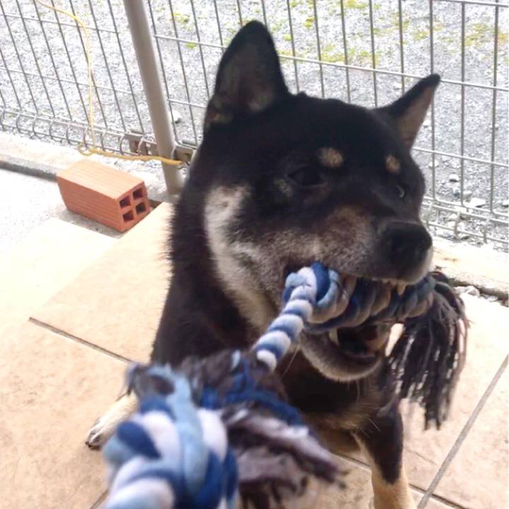 6b2baf44 deca 47dc b28b 87f051794845 1527732959378