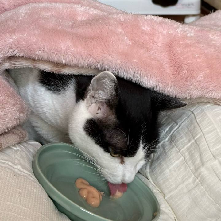 6b2bc1df e797 47c5 acc6 9f0da1f27800 1766021676052