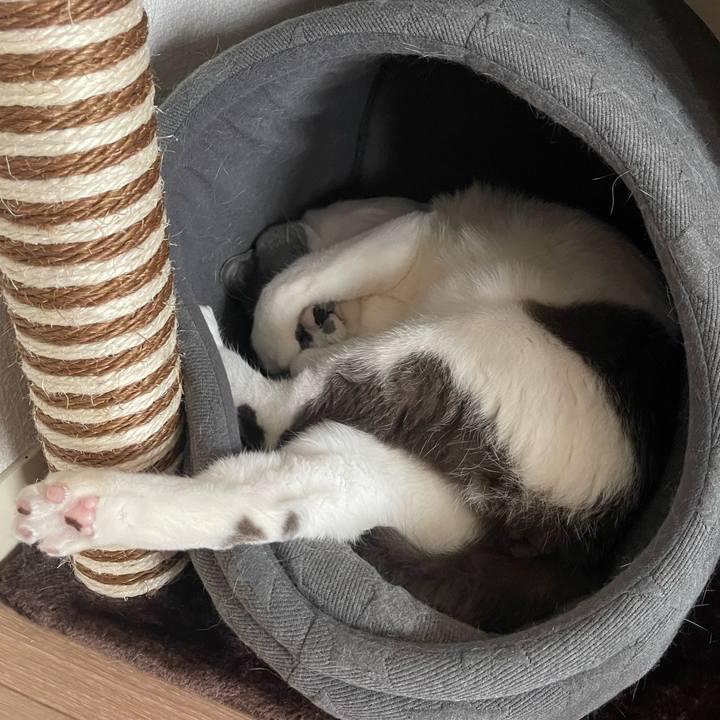 6b2bc5f5 f5d2 4540 938e 1f80544922d3 1664864110553