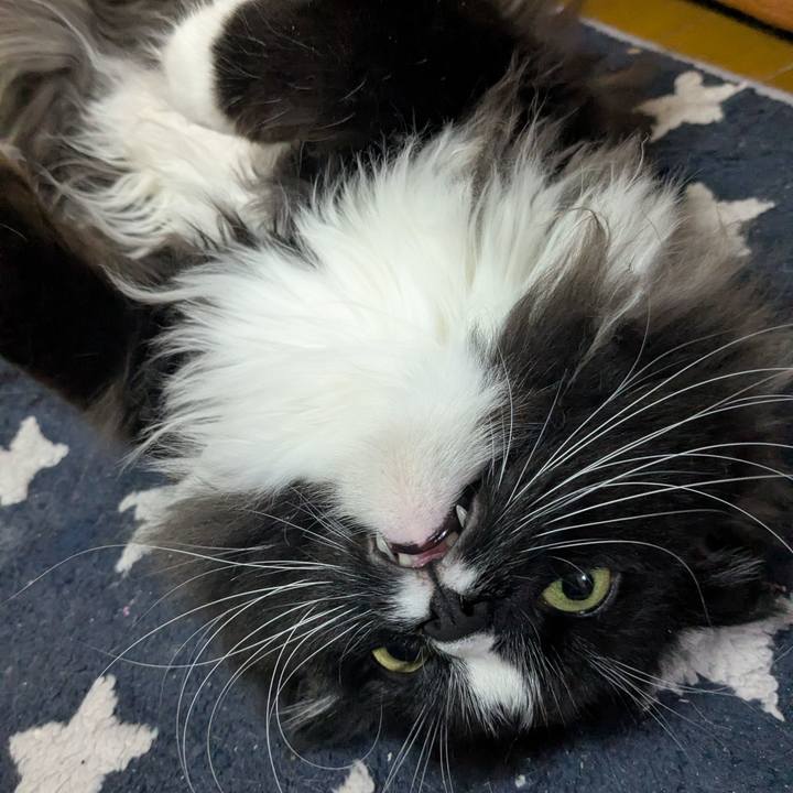 6b2bd74d 1893 4d6a 8533 29f8f6b3c200 1774472885876