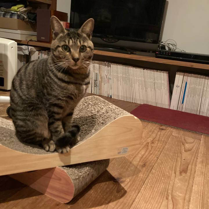 6b2bec09 39b2 4789 ab24 1a6bcb10ef8b 1677589150468