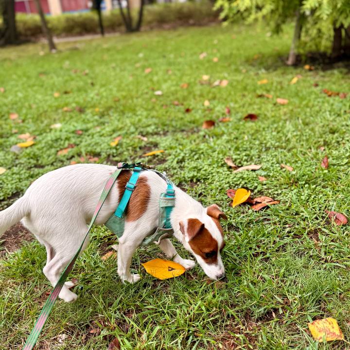 6b2c2b46 181b 4b97 8ceb 75a2c80a6544 1758333627313