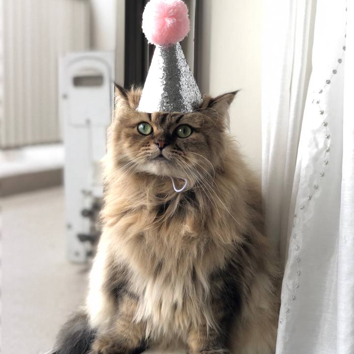 6b2c40a1 3156 41a0 8c43 1a07202cf682 1540956239542