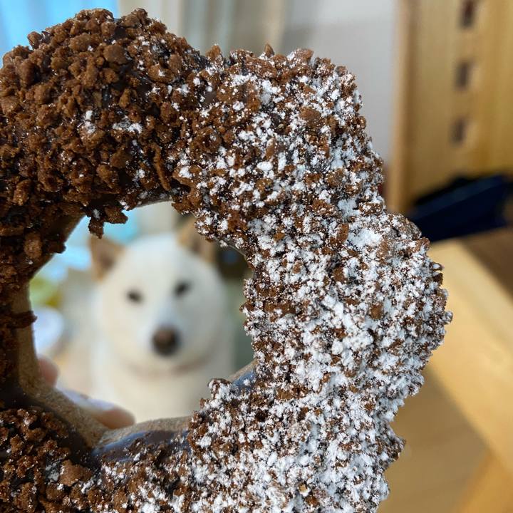 6b2c7691 0951 43aa ad3c ffb82ebb6e27 1640572803637