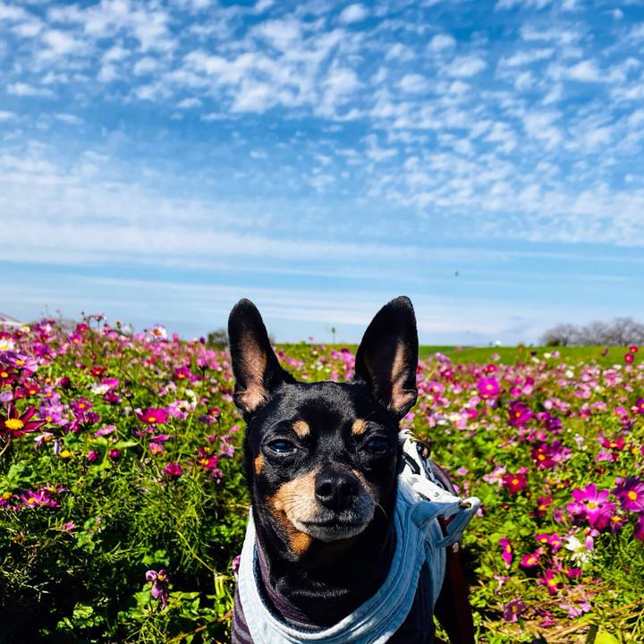 6b2cb36e 2ff8 4ebb a1f2 577b8581a8ee 1763211808255