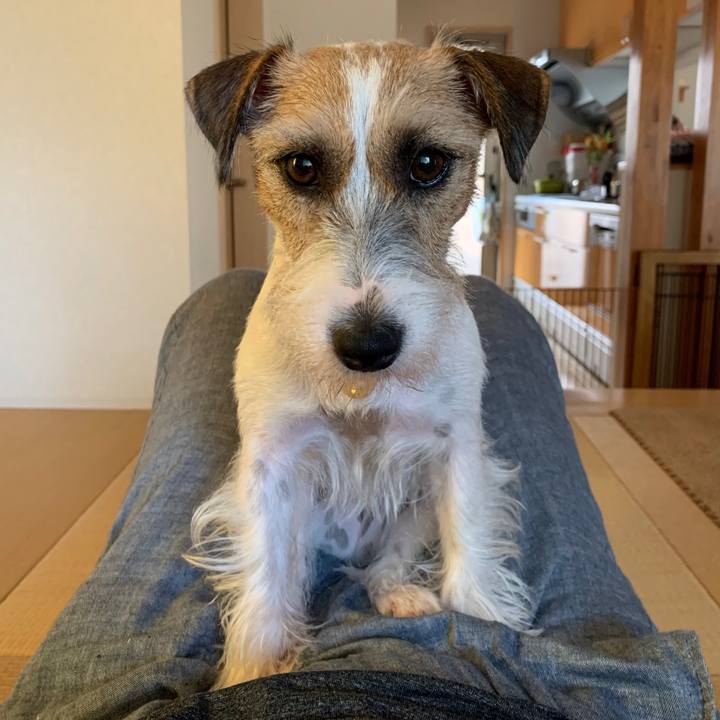 6b2d11ea 559e 4e11 adf4 b493eca9fe87 1597821188451