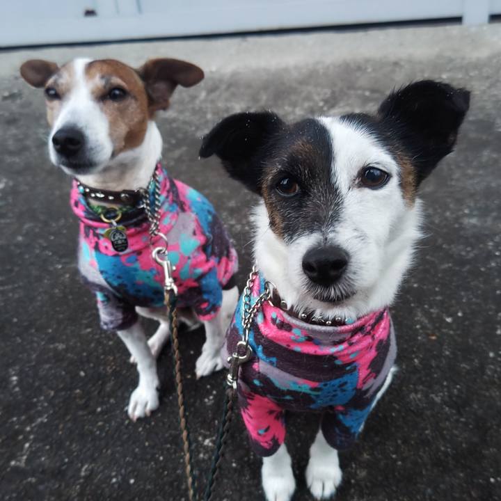 6b2d2212 ade6 448a 8d9b aeb32bec94cd 1767736616788