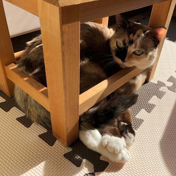 6b2d29d2 b54a 4179 b258 0e12d825352b 1772945375698