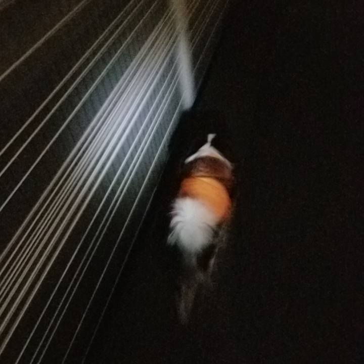 6b2d2f86 ca8d 4260 8b0f 4833e255b455 1671225668486