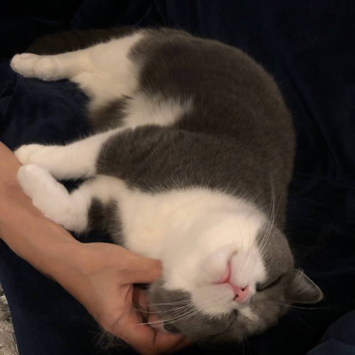 6b2d6f8f cfc3 4c29 a4c0 55283180ed9d 1546007666718