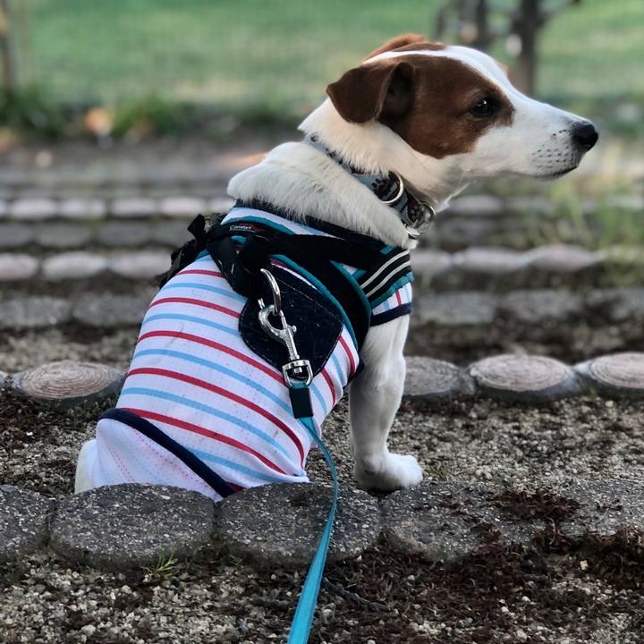 6b2d7972 4e7e 4d9f 82e4 4682b22250a2 1651998688068