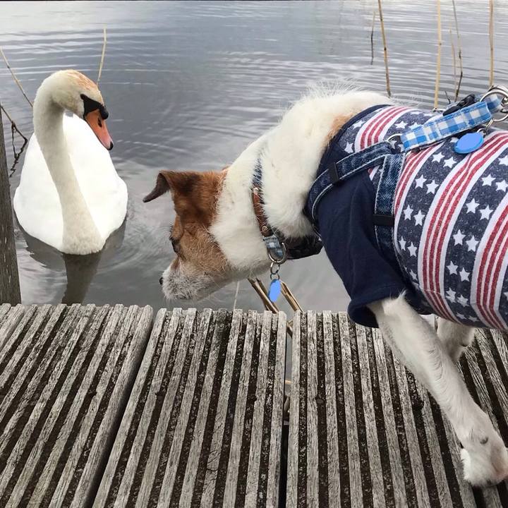 6b2db95b 9519 4e04 ba72 33b9eaf73783 1556778219595