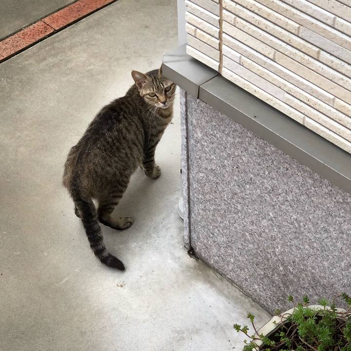 6b2de7cf d91c 4b58 9577 69cb9cc8f499 1594074605525