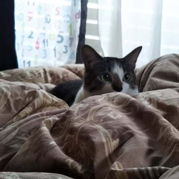 6b2e1742 6ef9 4f4c 9b05 b877d4ce1f36 1606313178027