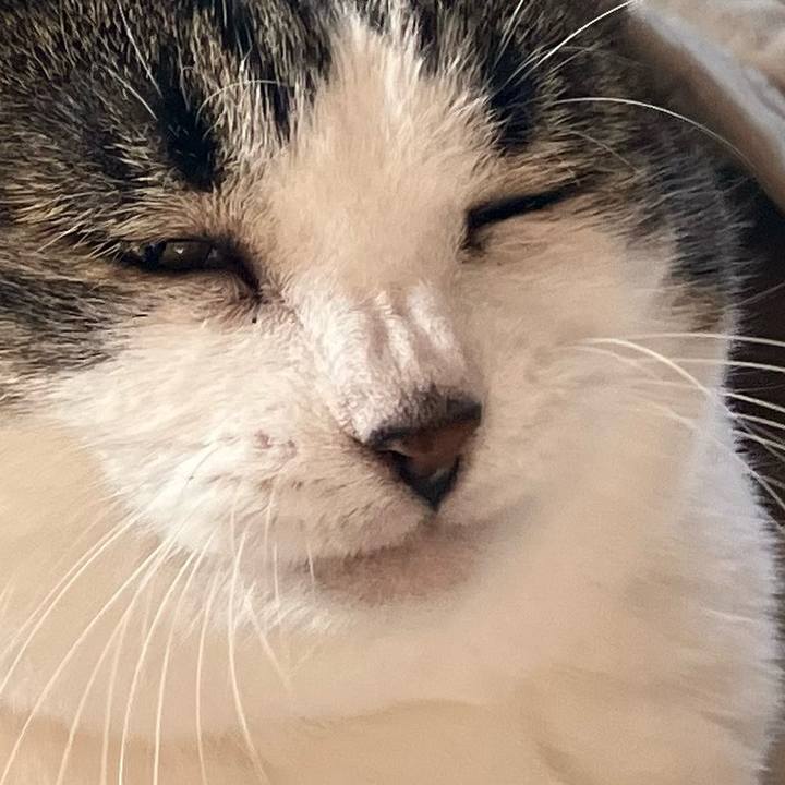 6b2e1dee feac 4da7 ae02 204e918d1688 1771850195573