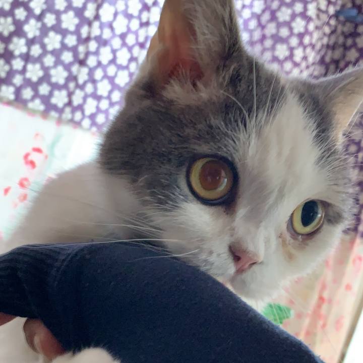 6b2e5913 fef9 4709 9852 19f4e2bed43d 1637362033494