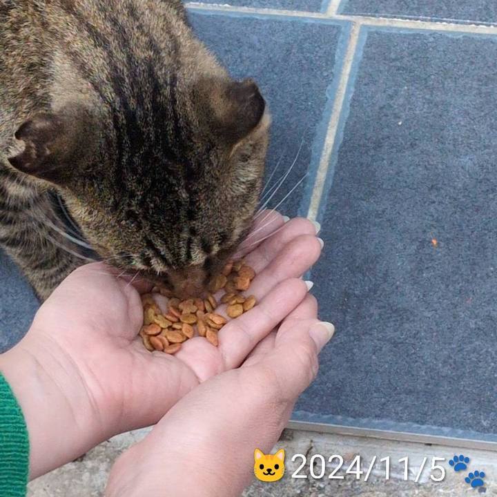 6b2e861d cfd4 4fe4 bbd2 e2f67aeb2b2b 1765506447118