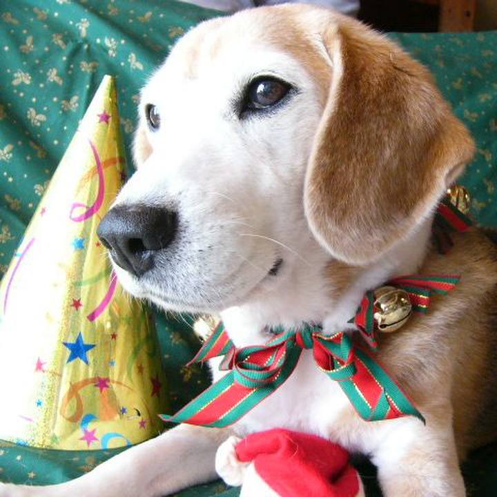 6b2eb0d1 8c75 46a8 8431 ec815aa218a6 1674608255287