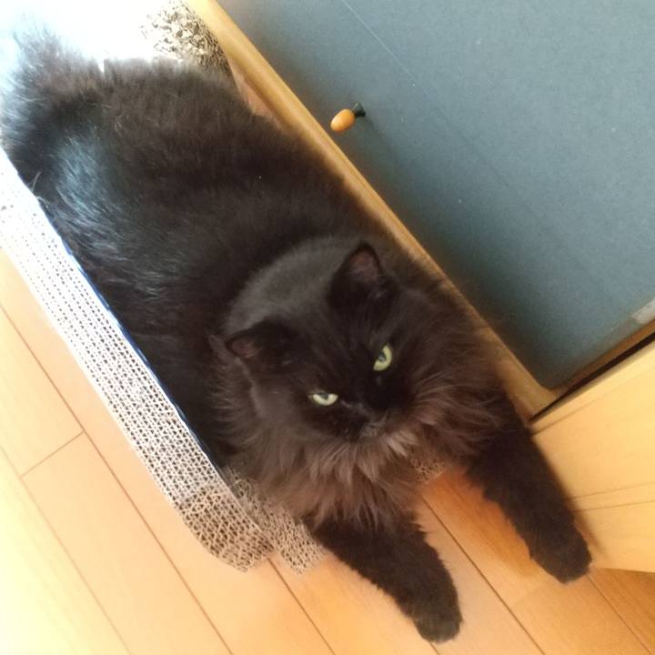 6b2ee49e 0a05 4279 8b10 5f08a44f40e8 1664752308162