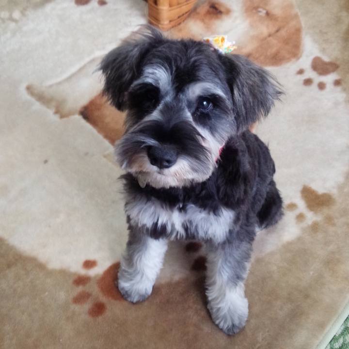 6b2ee5b8 f939 4816 91fb 40ef2d83777f 1616597549711