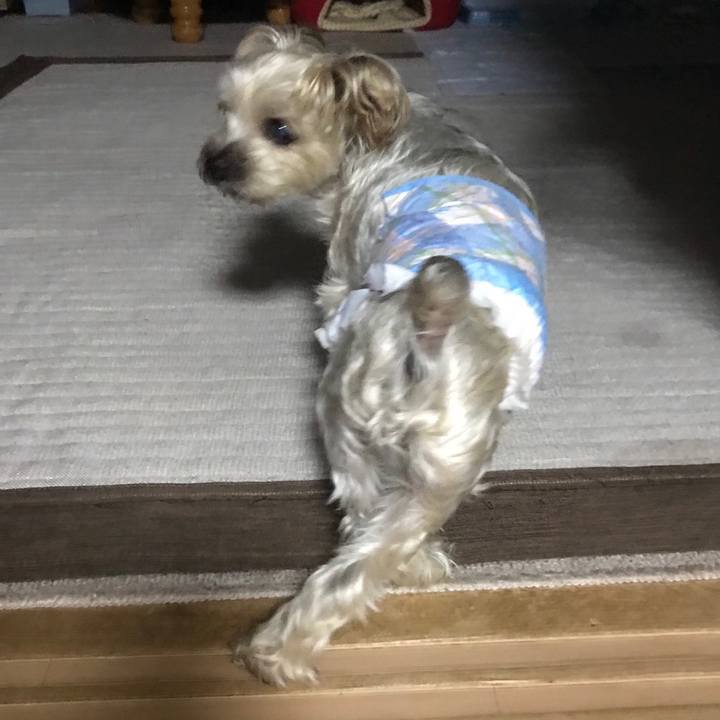 6b2eedc1 b273 4a8a a0a4 96091755edc8 1562842683087