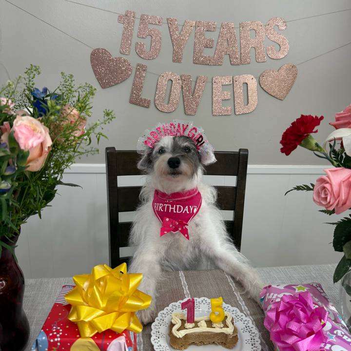 6b2f0000 ac31 4065 a61d c9f7fa800451 1770848592394