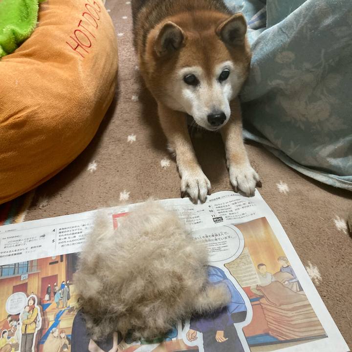 6b2f16fe 04b2 4cb3 9b22 90409269b84a 1745632735197