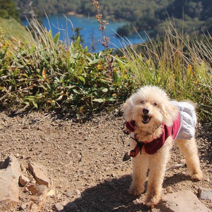 6b2f19a6 111b 428f 95a2 e576e118744e 1672449030944