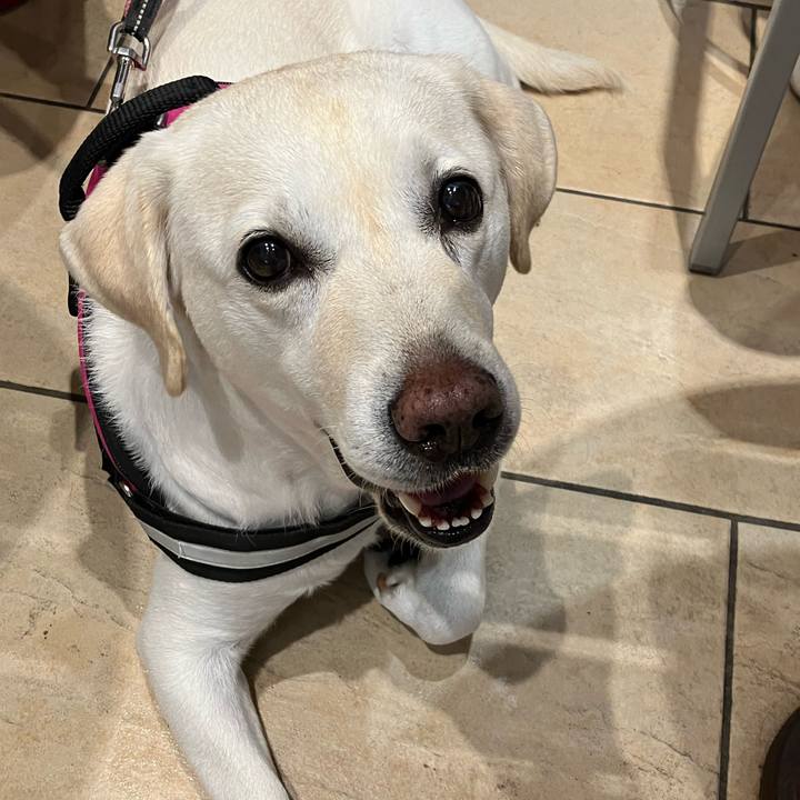 6b2f21e6 b64d 4c7e ad7d e615514d228f 1685780173298