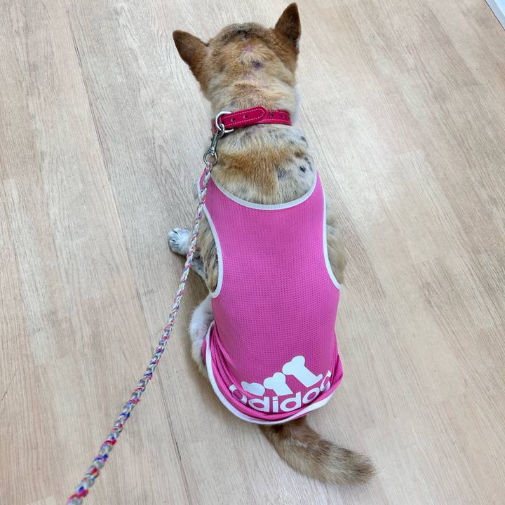 6b2f2726 370d 48a5 8944 45e211de7465 1761201915765