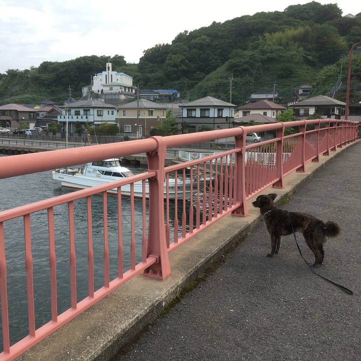 6b2f3549 ff41 4c60 85e4 1d2ca6e96011 1529798117520