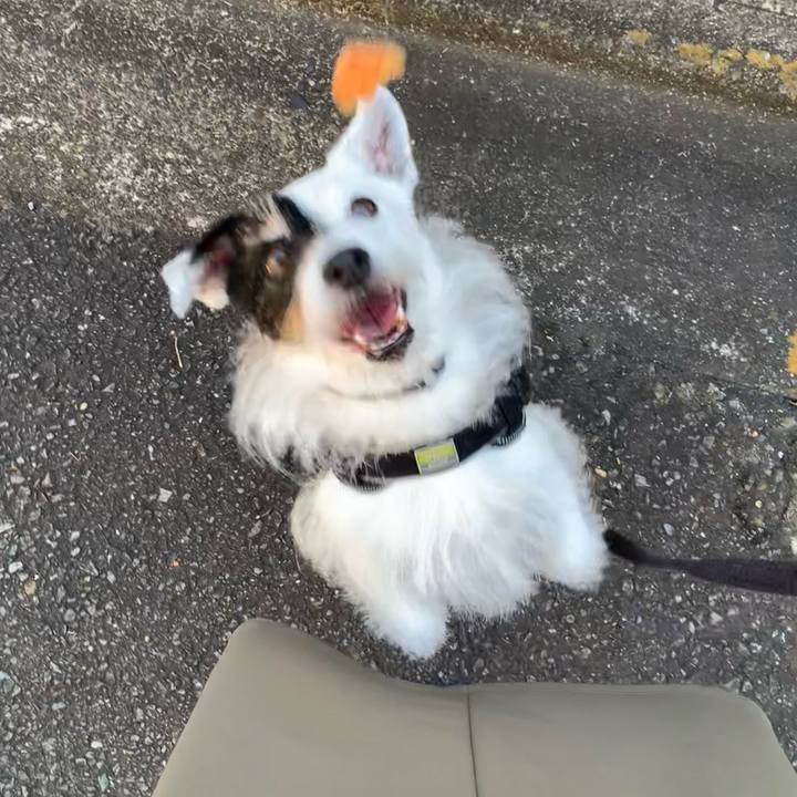 6b2f4c39 9125 4d93 a512 dd025c4e9be4 1750203201221