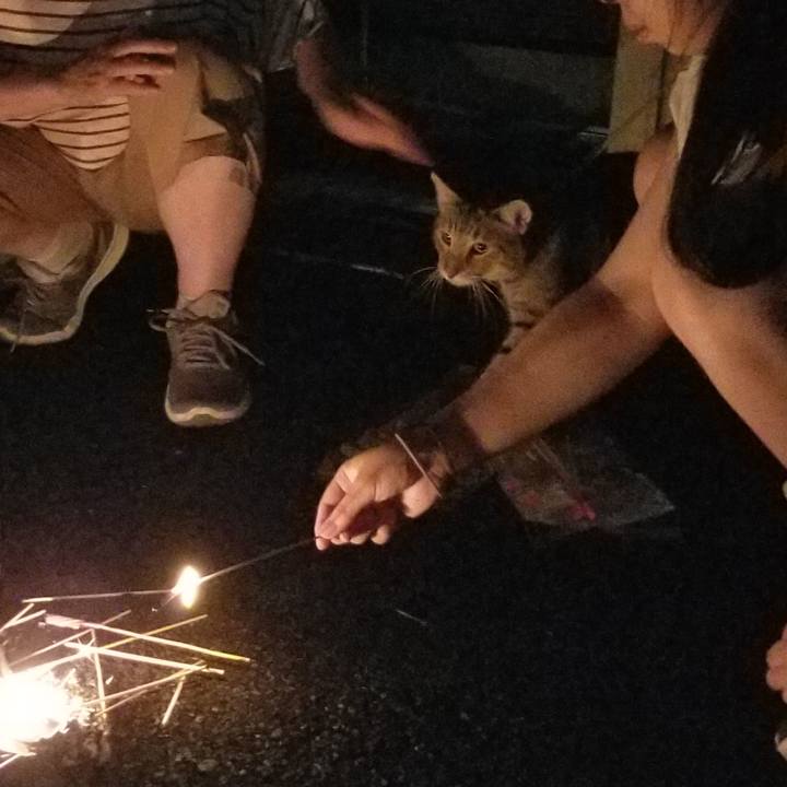 6b2f6cb9 997a 4e1f 8b17 e7c908922990 1628170944792