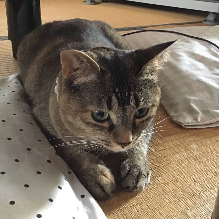 6b2f6e25 27c2 484d adcd 66a6edf256f7 1688129069718