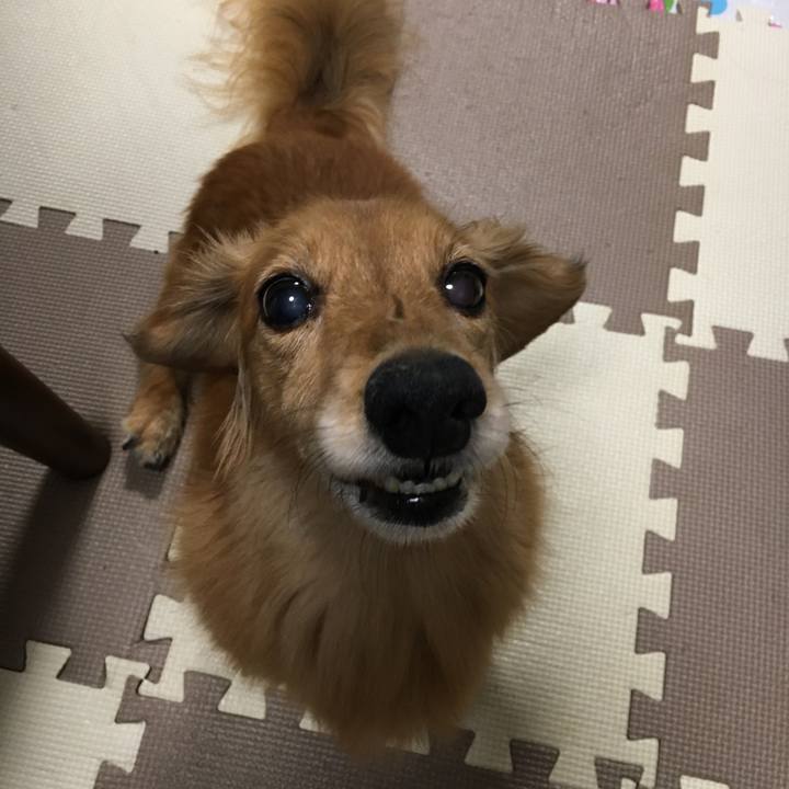 6b2f86f4 d9da 4bb0 ab52 5c0ea0bf4d8f 1598955511454