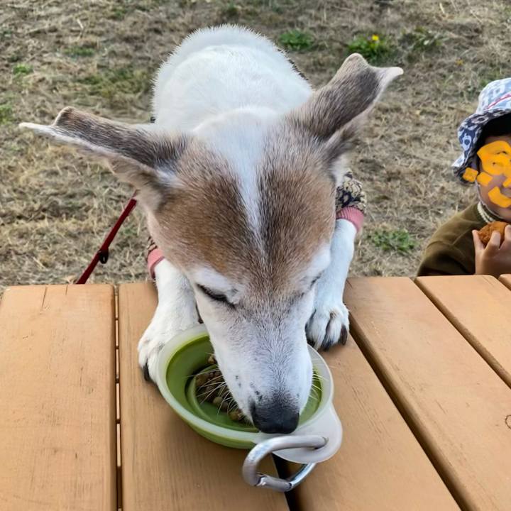 6b2fa202 9f1c 407b 8a0b a44da98bf1a6 1606115010587