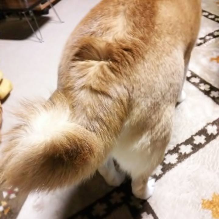 6b2fc654 447f 4a67 ae55 230a318d8712 1545638532278